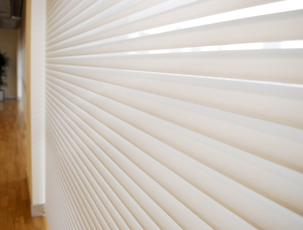 venetian blinds