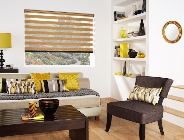vision blinds